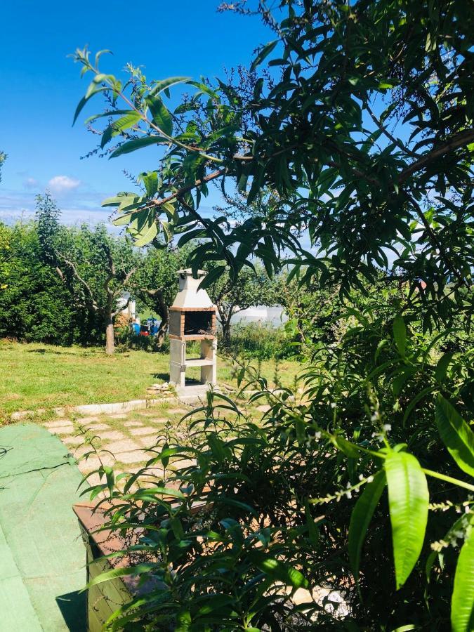 Camelia Casina Rural Villa Albuerne Exterior foto